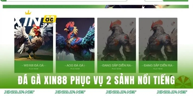 Đá gà XIN88 phục vụ 2 sảnh nổi tiếng