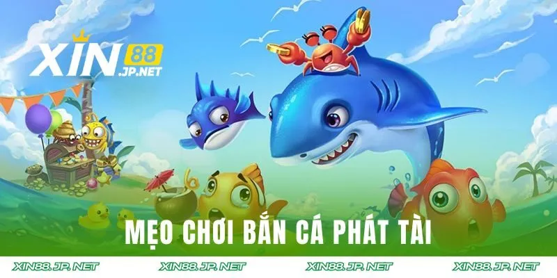 Những mẹo săn cá phát tài nên thử